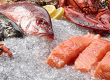 Seafood Labels