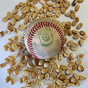 baseball peanuts labels